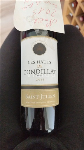 Bordeaux Saint-Julien Les Hauts de Condillat 2013