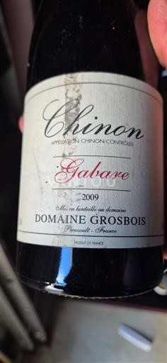 Loire Valley Chinon Domaine Grosbois Gabare 2009