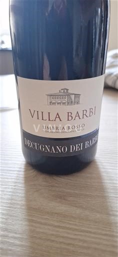 Umbria Non specificato Decugnano dei Barbi Villa Barbi 2022
