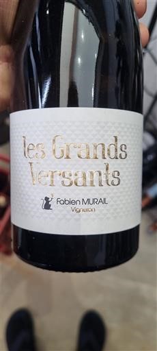 Loire-dalen Saumur-Champigny Fabien Murail Les Grands Versants 2023