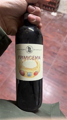 Toscane Niet gespecificeerd Antico Vigneto di Castellone Primigenia 2019