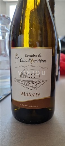 Sud-Ouest Domaine Clos d'Harrières Moletté Non Millésimé