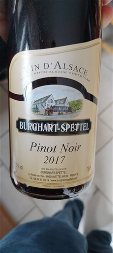Alsacia Burghart-Spettel 2017
