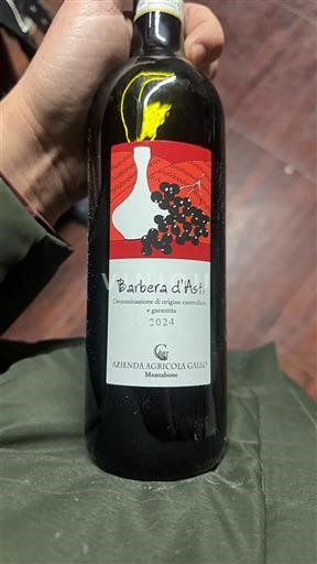 Piëmont Barbera d'Asti Azienda Agricola Gallo 2024