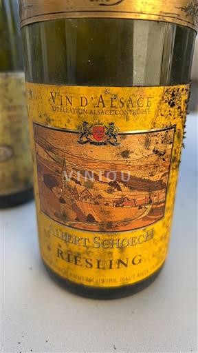 Alsacia Albert Schoech 2009