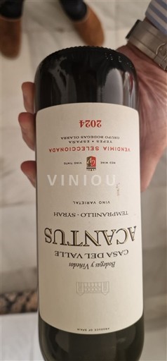 Castilië en León Toro Casa del Valle 2021