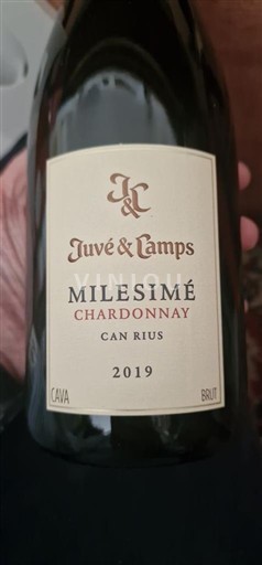 Catalunha Cava Juvé & Camps Milesimé Can Rius 2019