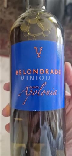 Castilië en León Rueda Belondrade Quinta Apolonia Niet-geïntegreerd