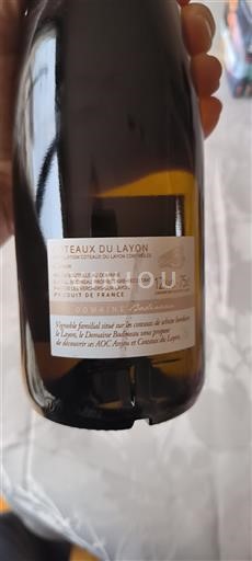 Dolina Loare Coteaux-du-Layon Domaine Bodineau Vieilles Vignes 2022