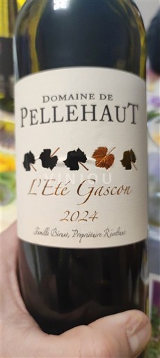 Südwestfrankreich Côtes de Gascogne Domaine Pellehaut L'Été Gascon 2024