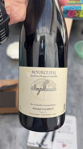 Dolina Loare Bourgueil Bertrand Galbrun Impetueuse 2019