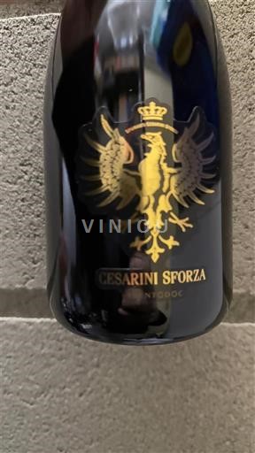 Trentino-Alto Adige Alto Adige Cesarini Sforza Riserva Aquila Reale 2013 2025