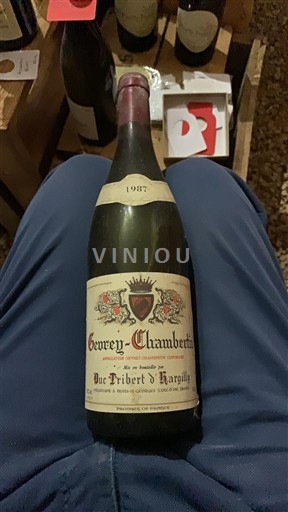 Bourgogne Gevrey-chambertin Duc Tribert d'Argille 1987
