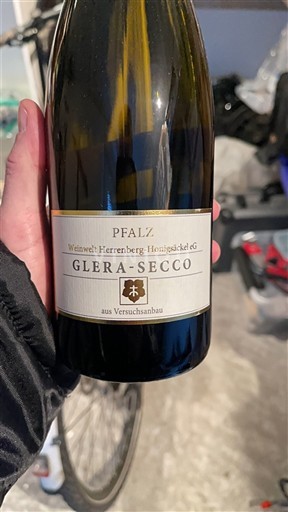 Pfalz Weinwelt Herrenberg-Honigsäckel eG Glera-Secco 2023
