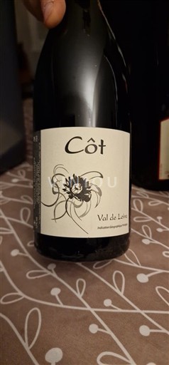 Vale do Loire Domaine J. Martellière Côt Não Sazonado