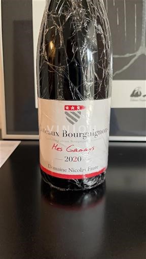 Burgund Burgunderhänge Domaine Nicolas Faure Mes Gamays 2020