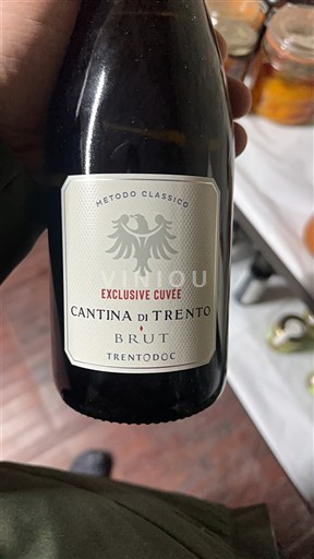Trentino-Etelä-Tiroli Määrittelemätön Cantina di Trento Exclusive 2024
