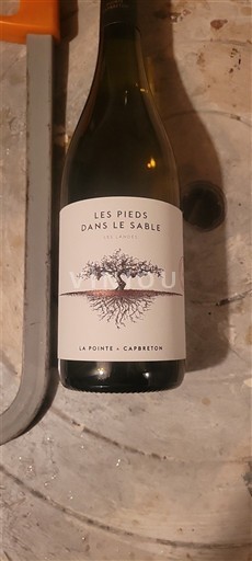 Sudoeste Não especificado Domaine La Pointe Les Pieds dans le Sable 2021