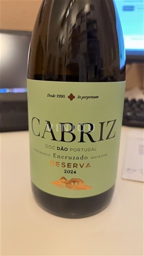 Bồ Đào Nha Dão Cabriz Encruzado Reserva 2024