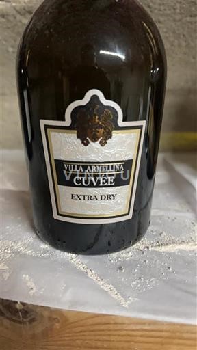 Veneto Prosecco Villa Armehlina Extra Dry Ei vuosikertaa