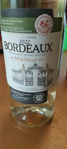 Bordeaux Amandine berardengo 2022