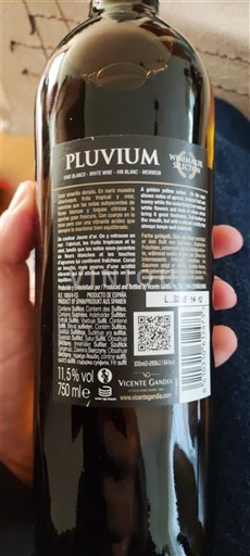 Valencian yhteisö Valencia Vicente Gandia Pluvium White Ei vuosikertaa