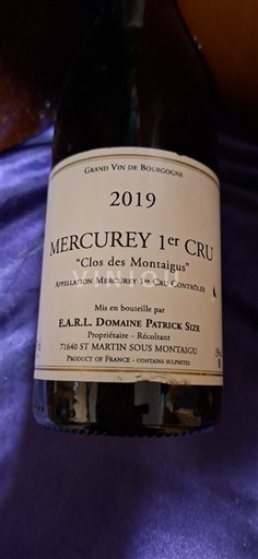 Бургундія Не вказано Premier Cru Domaine Patrick Size Clos des Montaigus 2019
