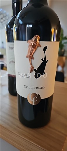 Abruzzen Montepulciano d'Abruzzo Collefrisio In & Out Niet-geïntegreerd