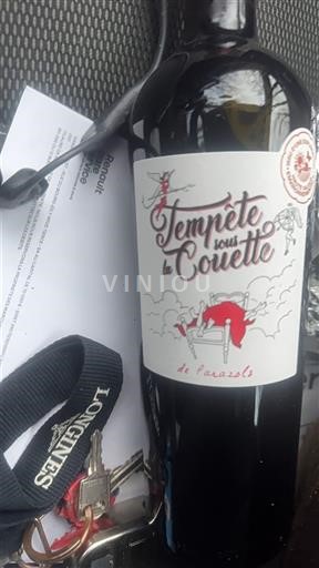 Південний Захід Фронтон De Parazos Tempête sous la Couette 2023