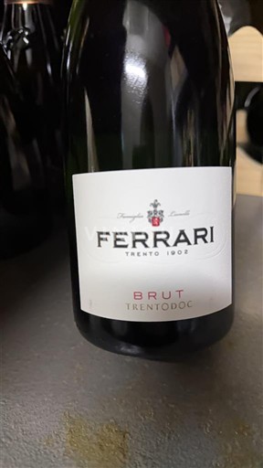 Tridentsko-Horní Adiže Horní Adiže Ferrari Brut 2025