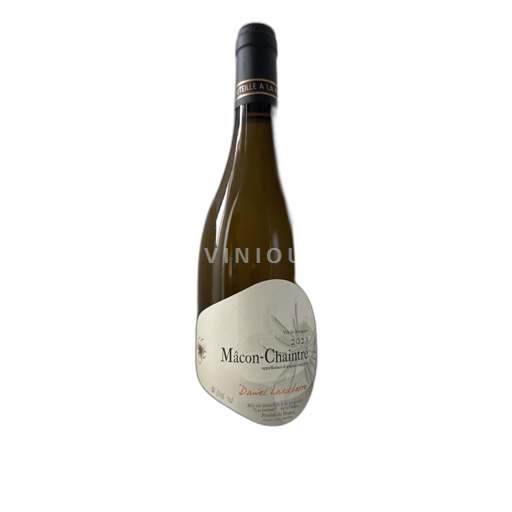 Burgund Mâcon und Mâcon-Dörfer Daniel Larochette 2023