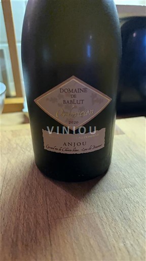 Vallée de la Loire Anjou Domaine Bablut Ordovicien 2020