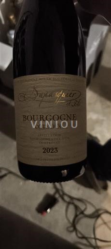 Borgogna Borgogna Côte d'Or Dupasquier & Fils 2023