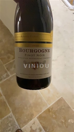 Burgundy Côte d'Augustin Florent 2022