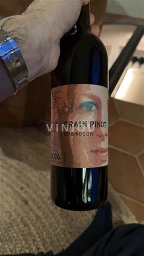 Valais Valais DOP Marie-Thérèse Chappaz Grain Pinot Chamoson 2024