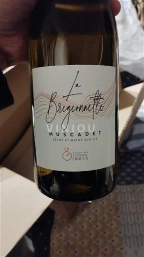 Vallée de la Loire Domaine S Orfeuilles La Briguemette 2025