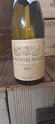 Bourgogne Bourgogne-aligoté Domaine Spuny Chenu 2024