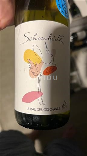 Elsass Schoenheitz Le bal des cigognes 2023