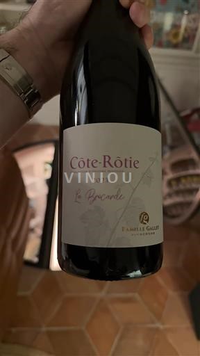 Vallée du Rhône Côte-rôtie Famille Gallet La Brocarde 2023