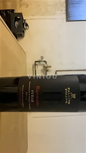 Toscane Niet gespecificeerd Palazzo Pignano Ripensato Syrah 2023