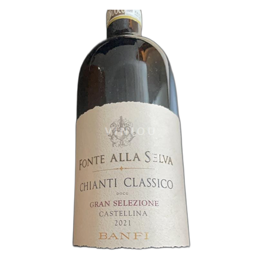 Toscana Chianti Classico Fonte alla Selva Gran Selezione 2021