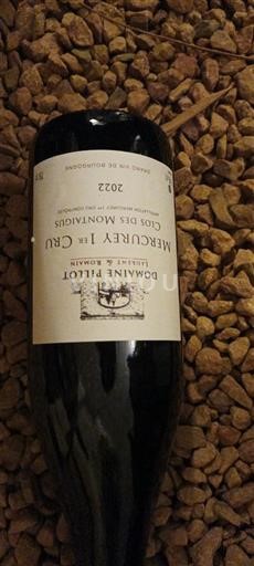 Borgogna Mercurey Premier Cru Domaine Pillot Clos des Montaigus 2022