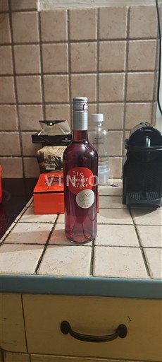 Jugozahod Ni doloceno Le Rouge Léger 2023