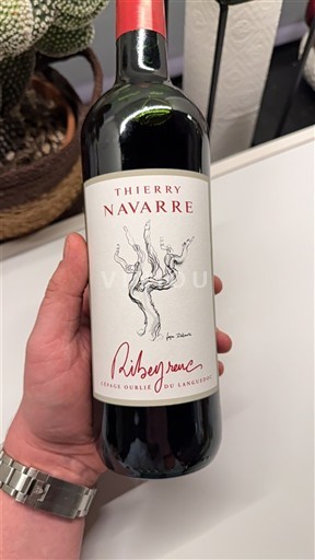 Langvedok Languedoc Thierry Navarre Ribeyrenc 2024