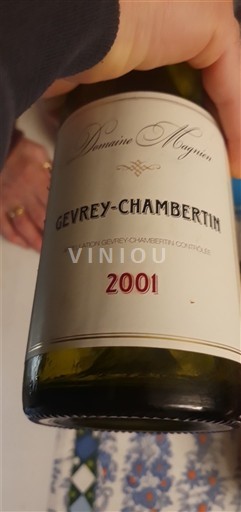 Bourgogne Gevrey-chambertin Domaine Magnien 2001