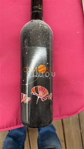 Sydvestfrankrig Côtes-du-marmandais Ostalose 2019