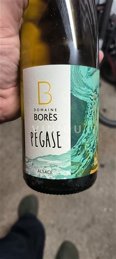 Alsacia Domaine Borès Pégase 2023