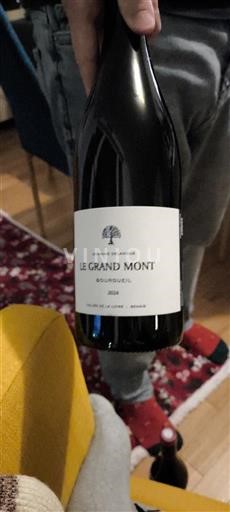 Dolina Loare Bourgueil Domaine La Butte Le Grand Mont 2020