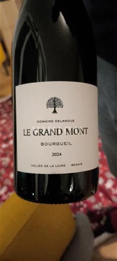 Dolina Loare Bourgueil Domaine Lanoue Le Grand Mont 2024