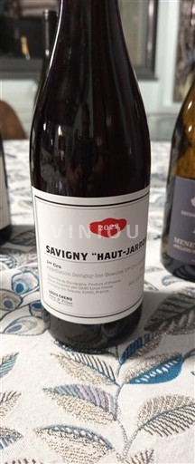 Bourgogne Savigny-lès-beaune Premier Cru Domaine Pavelot Haut-Jarrons 2022